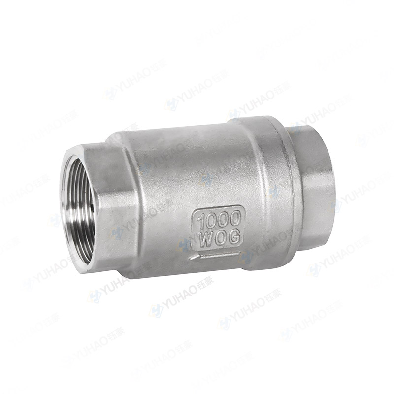 Screw Thread Vertical Check Valve