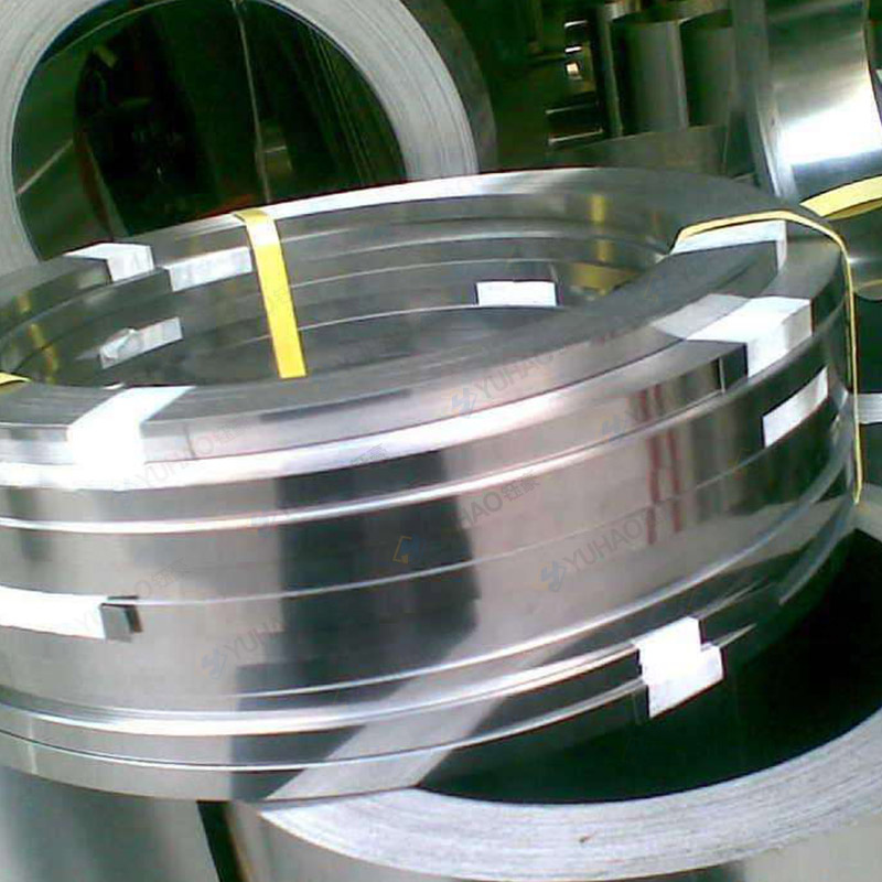 Stainless Steel Strip